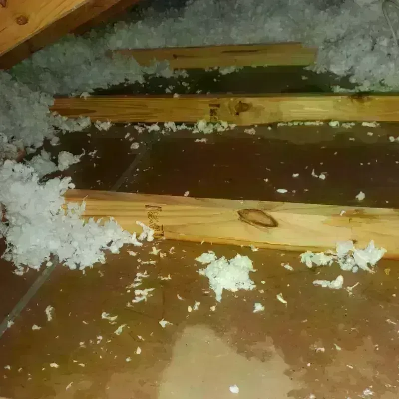 Attic Water Damage in Enterprise, NV