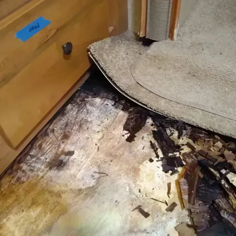 Wood Floor Water Damage in Enterprise, NV